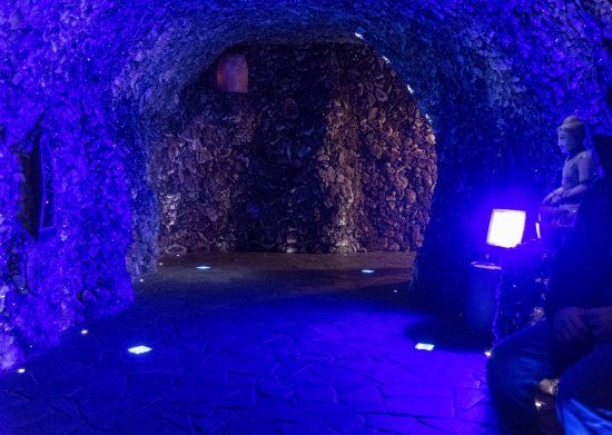 Naturerlebniswelt Heringsdorf